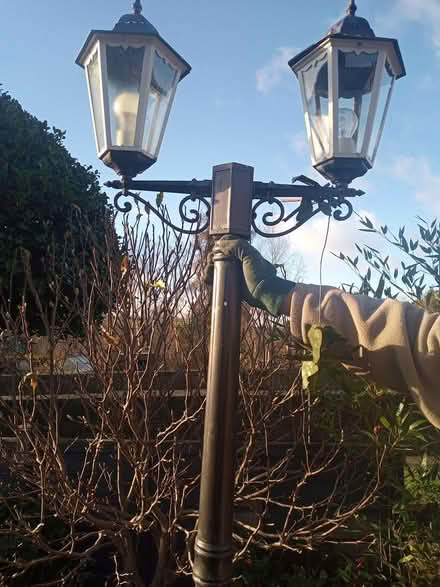 Photo of free Ornamental garden lamp standard (Long row Belper) #3