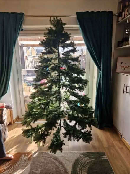 Photo of free 7ft Christmas tree (Stevenage, SG1) #4