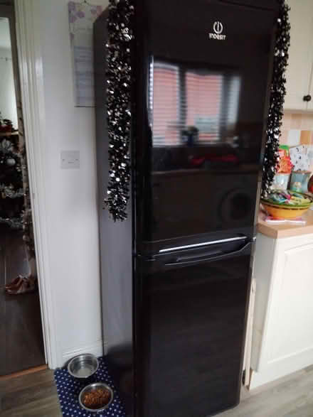 Photo of free Fridge freezer (Longeaton) #2