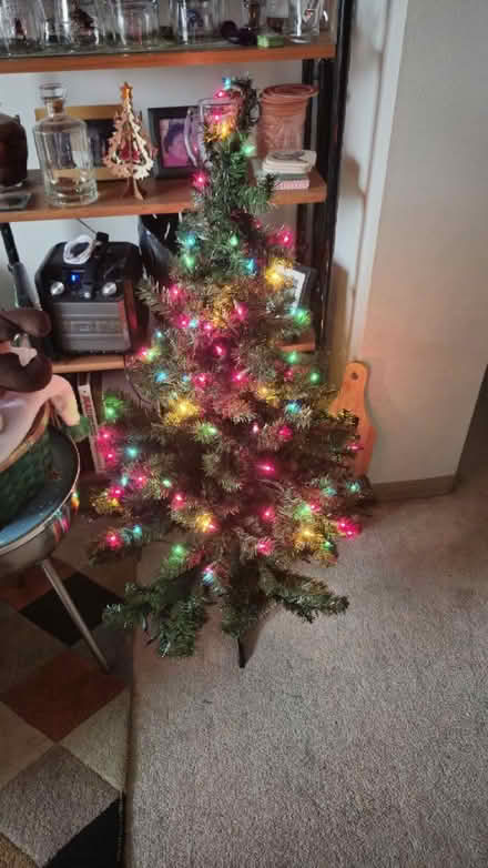 Photo of free pre-lit Christmas tree (1460 Barclay Street - West End) #1