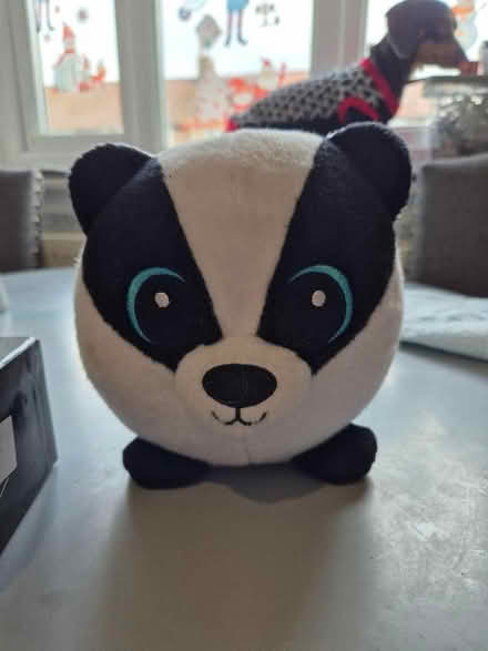 Photo of free Badger soft toy (Bellingham SE6) #1
