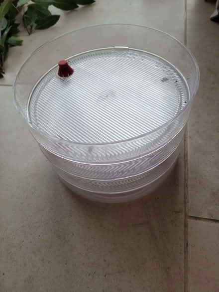 Photo of free Sprouting trays for green shoots (Horsley GL6) #1