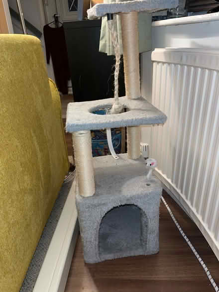 Photo of free Cat tree (Norton-Lees, S8) #1