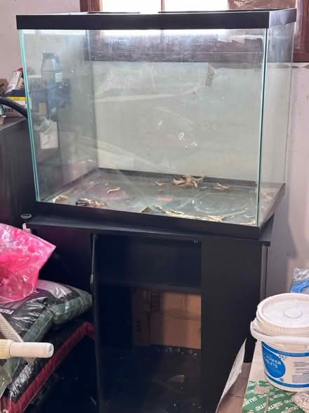 Photo of free Fish tank (South downers grove) #1