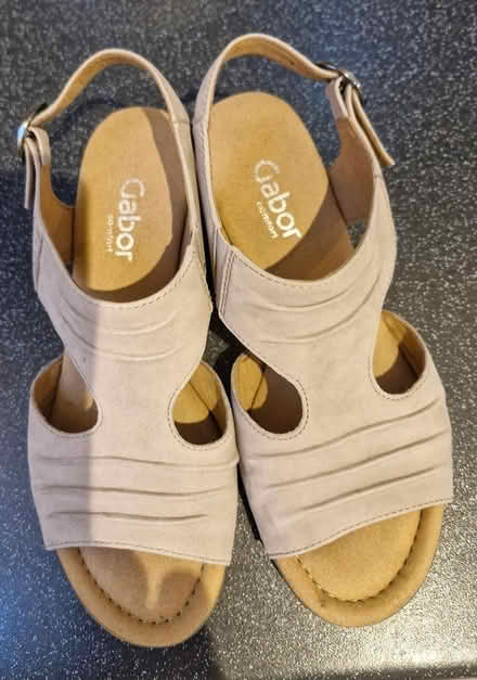 Photo of free Size 4 Gabor suede shoes (M33 4ET) #1