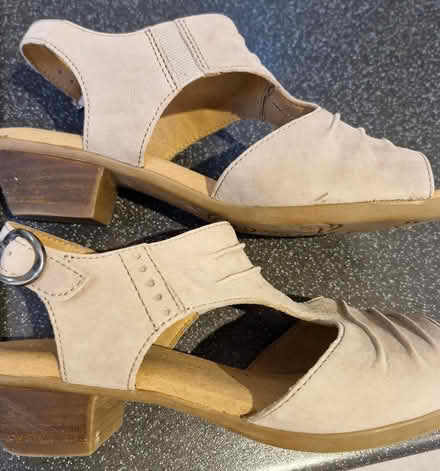 Photo of free Size 4 Gabor suede shoes (M33 4ET) #2