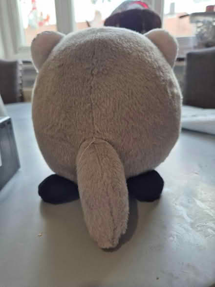 Photo of free Badger soft toy (Bellingham SE6) #2