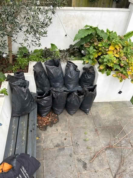 Photo of free soil (Brixton/ Chelsea) #2