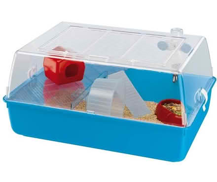 Photo of Hamster cage (Warlingham) #1