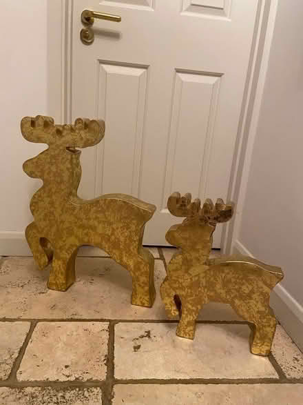 Photo of free Paper mache reindeer (Skaters' Meadow CB3) #1