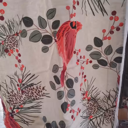 Photo of free Flannel pillow shams/alt gift wrap (Trinity Bellwoods) #1