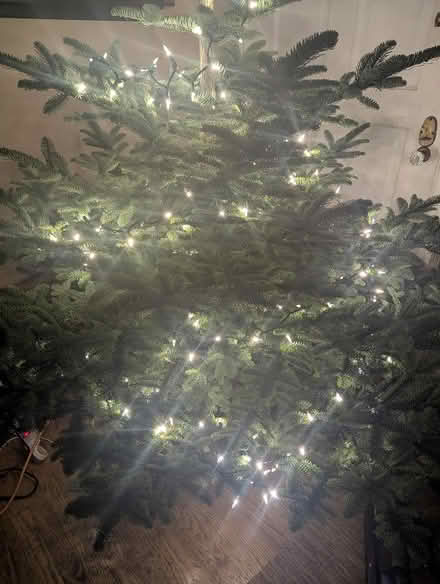 Photo of free Christmas tree (West Seattle/White Center) #1
