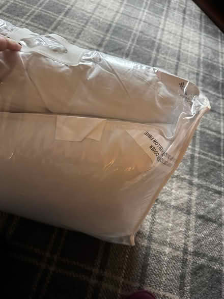 Photo of free Two brand new pillows (Milnrow, OL16) #1