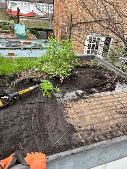 Photo of free soil (Brixton/ Chelsea) #1