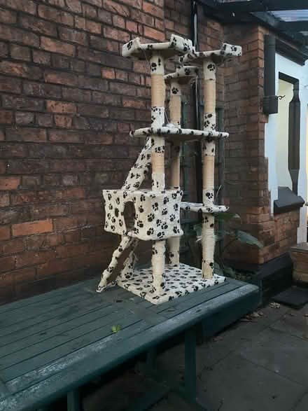 Photo of free Cat tree scratch post (Bidston Hill CH43) #1