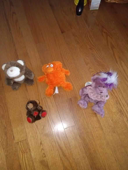 Photo of free Lots of Miscellaneous (south keys - elmvale) #1