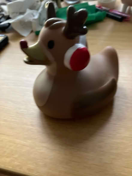 Photo of free Rubber duck (Putnoe MK41) #1