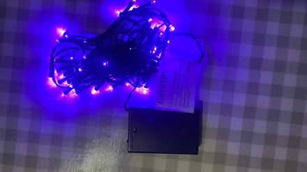 Photo of free 1 x purple fairy lights (Witney OX28) #1