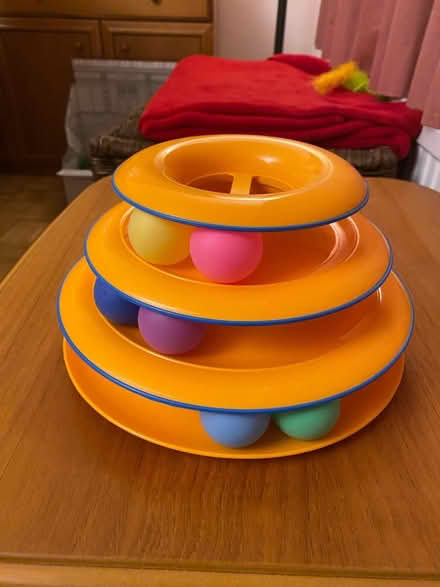 Photo of free Cat push ball toy (babies too!) (En5 3da) #1