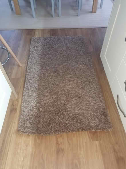 Photo of free Brown rug (Southport PR9) #1