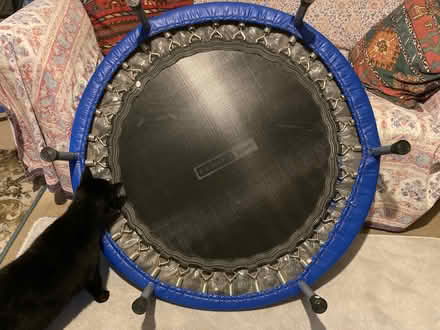 Photo of free Trampoline (Diss IP22) #1