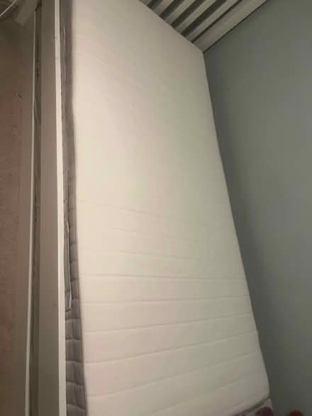 Photo of free 2 single mattresses (Belle vue Shrewsbury) #1