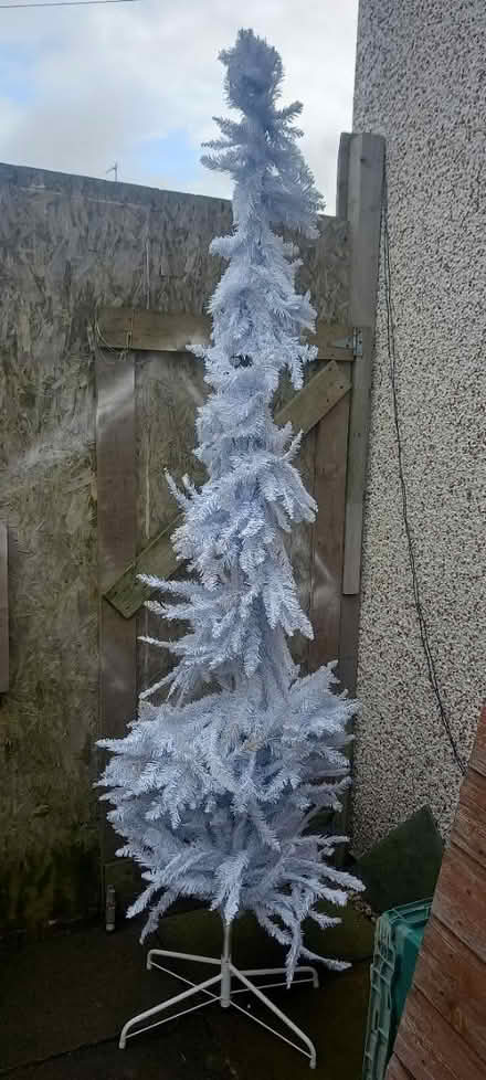 Photo of free Christmas trees x2 in white (Shepshed) #2