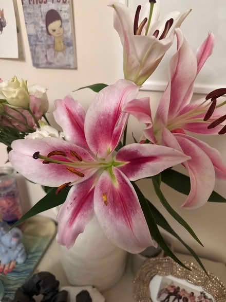 Photo of free Beautiful flowers (no vase) (Bethnal Green E2) #3