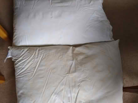 Photo of free Old single duvets and pillows (South Abingdon OX14) #2
