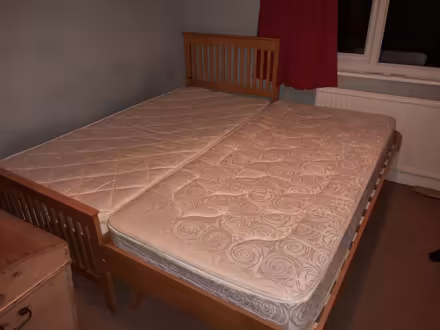 Photo of free Single bed with guest bed underneath (Maidstone ME15) #3