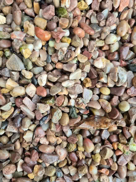 Photo of free 2 x buckets of pea gravel/shingle (Cheltenham) #2