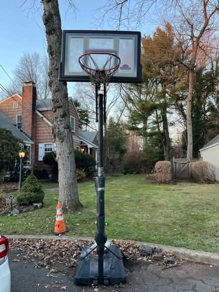 Photo of free Adjustable basketball hoop (Metuchen NJ) #3