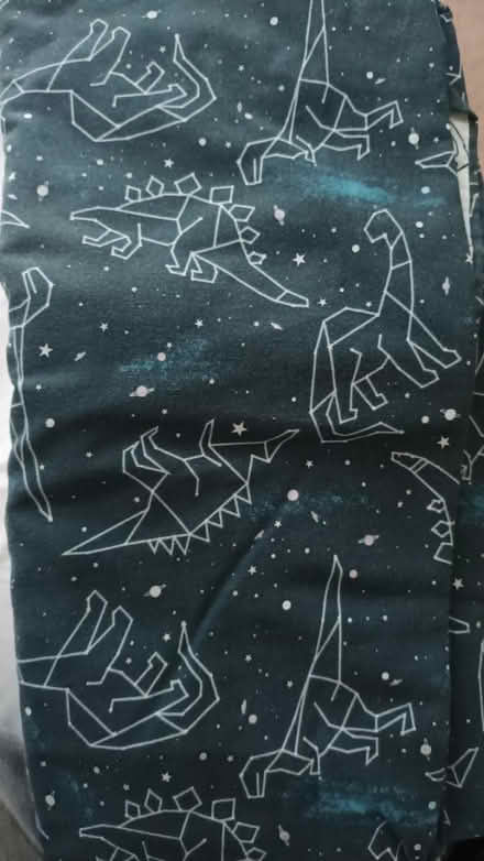 Photo of free Dinosaur / space double quilt cover (Beeston NG9) #1