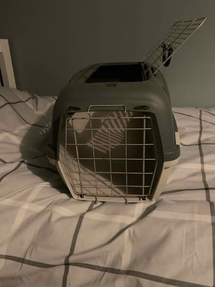 Photo of free Cat carrier (Reading RG1) #2