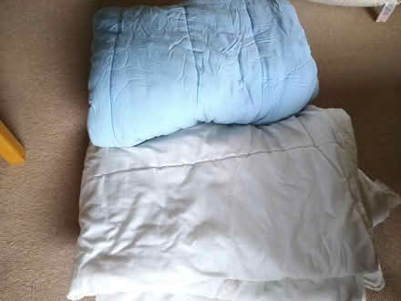 Photo of free Old single duvets and pillows (South Abingdon OX14) #1