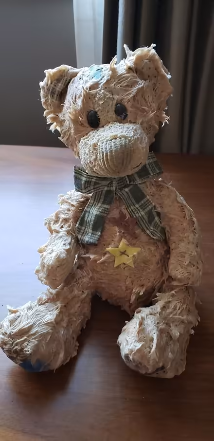 Photo of free Vanilla wax infused bear (Kenson Park) #1