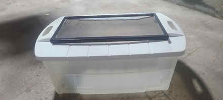 Photo of free Tote for hamster (Mavis and Rathburn) #1