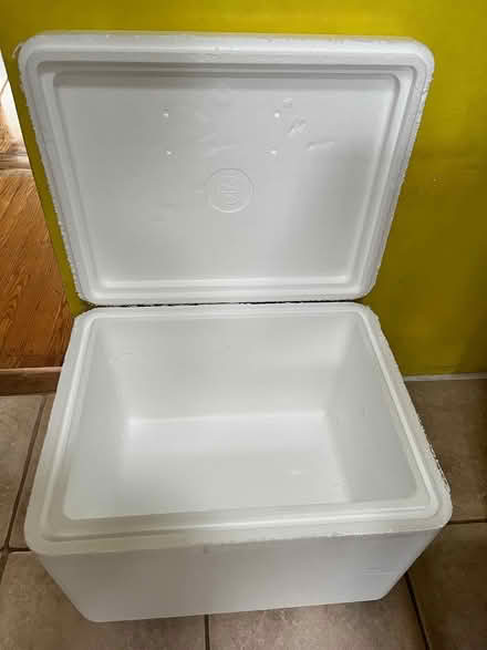 Photo of free Styrofoam ice chest (Lawrence Expwy & Monroe Street) #2