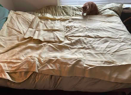 Photo of free IKEA King linen duvet + 2 shams (Highland Park/Eagle Rock) #2