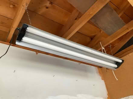 Photo of free Plug in light fixture 4ft (Walnut Hills) #1