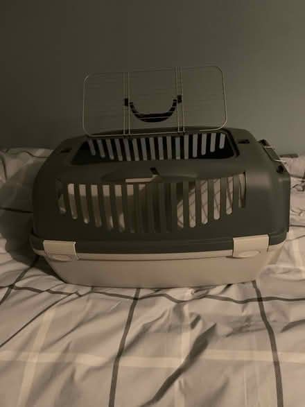 Photo of free Cat carrier (Reading RG1) #1