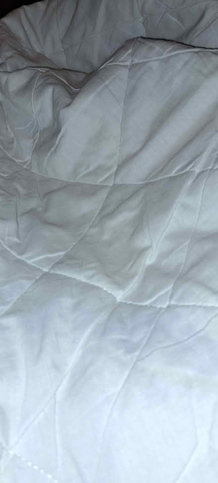 Photo of free Double quilted mattress protector (South Tonbridge TN9) #1
