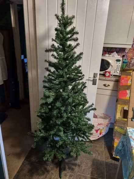 Photo of free 6 foot arctic tree (Whittlebury NN12) #1