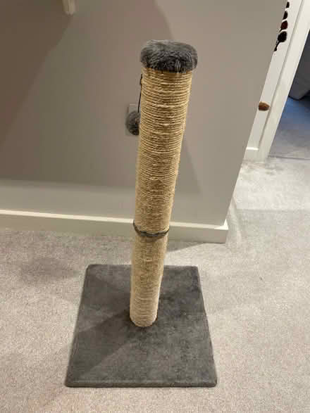 Photo of free Cat scratching post (Chineham) #1