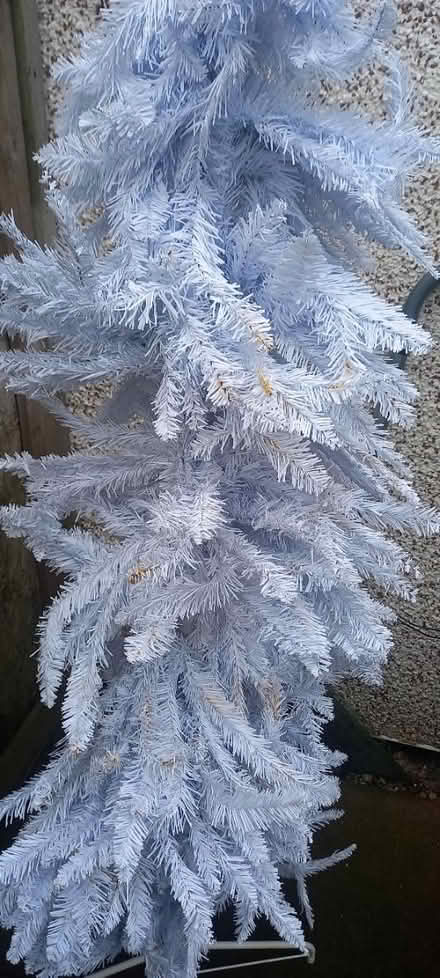 Photo of free Christmas trees x2 in white (Shepshed) #1
