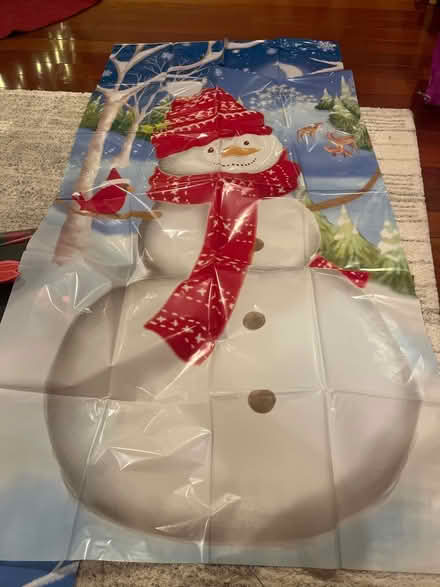 Photo of free Winter backdrop scene - new (Cambridgeport) #2