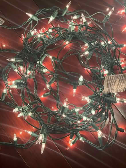Photo of free Working Christmas lights (Cambridgeport) #2