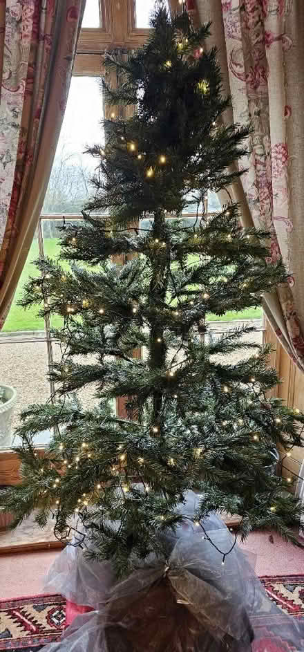 Photo of free Christmas tree (CM17 Harlow) #1