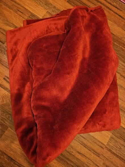 Photo of free Thick and large Blanket (South Norwood SE25) #1