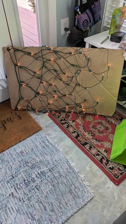 Photo of free outdoor mesh lights (Stevens Forest, Columbia) #1